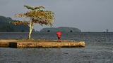 World leaders need to see rising oceans in Pacific: UN official