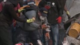 Kitten rescued from the rubble in Colombia | CNN