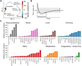 Harnessing huge data to reveal the extent of physiological changes before, during and after pregnancy