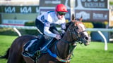 Ascot’s greatest conqueror: Overpass to launch an Australian raid on royal meeting