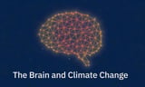 Video: New film shows the hidden impact of climate change on brain health