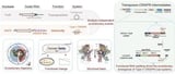 Scientists reveal functional RNA splitting mechanism behind origin of Type V CRISPR systems