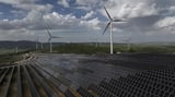 Iraq to undergo major solar energy transformation: Prime Minister's Office