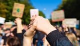 Little appetite for celebrities airing political views, polling suggests