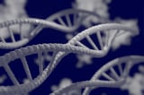 Large-scale genetic study on Alzheimer's identifies new DNA risks