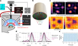 New technique uses focused sound waves and holograms to control brain circuits