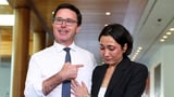 ‘One or two votes in it’: Littleproud’s deputy in tight battle with Canavan