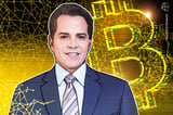 Scaramucci: Current Bitcoin Price Correction Is 'Garden Variety'