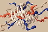 Research into protein interactions sheds new light on causes of autism