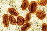 2 scientists charged with bringing deactivated mpox virus into US without permission | AP News