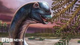 Giant new dinosaur identified from remains found in Thailand