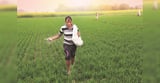 Fertiliser ministry deploys analytical tool to prevent fertiliser shortage