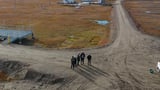 Digital twins could help melt the mystery of Alaska’s thawing permafrost