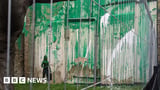 Banksy's urban tree artwork defaced with white paint - BBC News