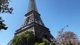 Eiffel Tower and Louvre shut doors as France swelters in historic heat