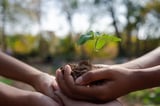 EU Public Procurement Act: ESG aspects of the Commission’s proposal
