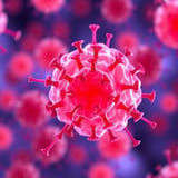 Certain Immune Cells May Hinder the Effectiveness of Cancer Immunotherapy