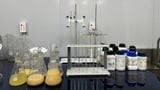 Critica bulk sample tests deliver big WA rare earths uplift