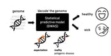 Understanding how mutations affect diseases: Model looks beyond the 'black box' of genome-wide association studies