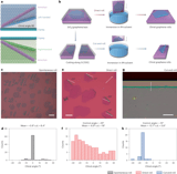 Graphene rolls with tunable chirality