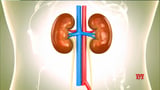 Prior Covid vaccination proved beneficial for acute kidney injury patients: Study