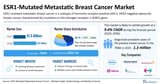 ESR1-Mutated Metastatic Breast Cancer Market Expected to Grow Rapidly at 9.6% CAGR During the Forecast Period (2026–2036) Due to the Emergence of Novel Oral SERDs and Targeted Agents | DelveInsight