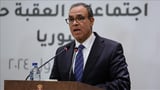 Egypt calls for mobilizing regional, global support for Syria