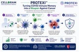 Scientists turn COVID-19 immune memory into a powerful new ally against cancer