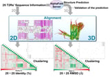 Scientists use AI to decode protein structures behind bitter taste detection