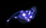 The universe's secret harvest: Shedding light on 'the cosmic grapes'