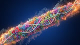 Super Elongation Complex Found to Switch On Genes That Transform Cell