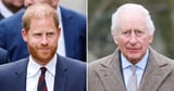 Royal Family Was Briefly Warned About Prince Harry’s BBC Interview