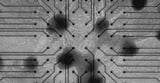 World's first commercial biological computer is here, powered by human brain cells