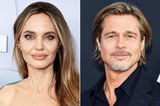 Brad Pitt Source Slams Angelina Jolie's 'Never-Ending Attacks' amid Their Ongoing Winery Legal Battle