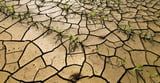 Climate change and pollution threaten Europe's resources, EU warns
