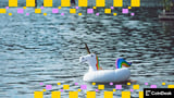 Stablecoin News: RedotPay Attains Unicorn Status With $47M Raise for Regulatory Push