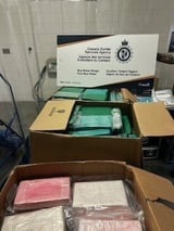 CBSA seizes 111 kg of cocaine at the Blue Water Bridge
