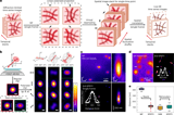 SPIFFI enables single-shot super-resolution and multidimensional imaging