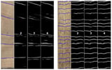 Intelligent Manufacturing in Wine Barrel Production: Deep Learning-Based Wood Stave Classification