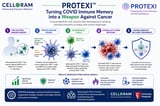 Scientists Turn COVID-19 Immune Memory into a Powerful New Ally Against Cancer | Newswise