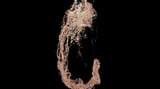 DNA microscope creates 3D images of organisms from the inside out