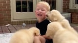 Helping Children Laugh Can Make Their Brains More Resilient and Learning Easier