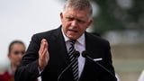 Europe's main center-left political family expels Slovak leader's party for breaching its values