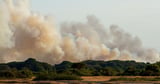 Major wildfire erupts as 26 fire engines rush to blaze after A31 vehicle fire
