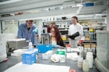 Tina Rost receives CAREER award to explore a new class of modern materials
