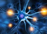 Memories may not start from a 'blank slate,' study finds