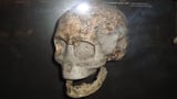 Ancient southern Africans took genetic evolution in a new direction