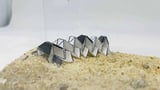 Magnetic ‘muscles’ turn origami into crawling robots that move and heal from within