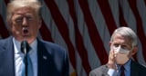 Fauci Complained About “Obnoxious Adolescent” Trump in Covid Diary