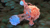 Breakthrough pancreatic cancer drug nearly doubles survival in trial
